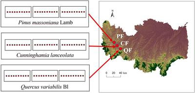 Effects of forest types on soil carbon content in aggregate faction under climate transition zone